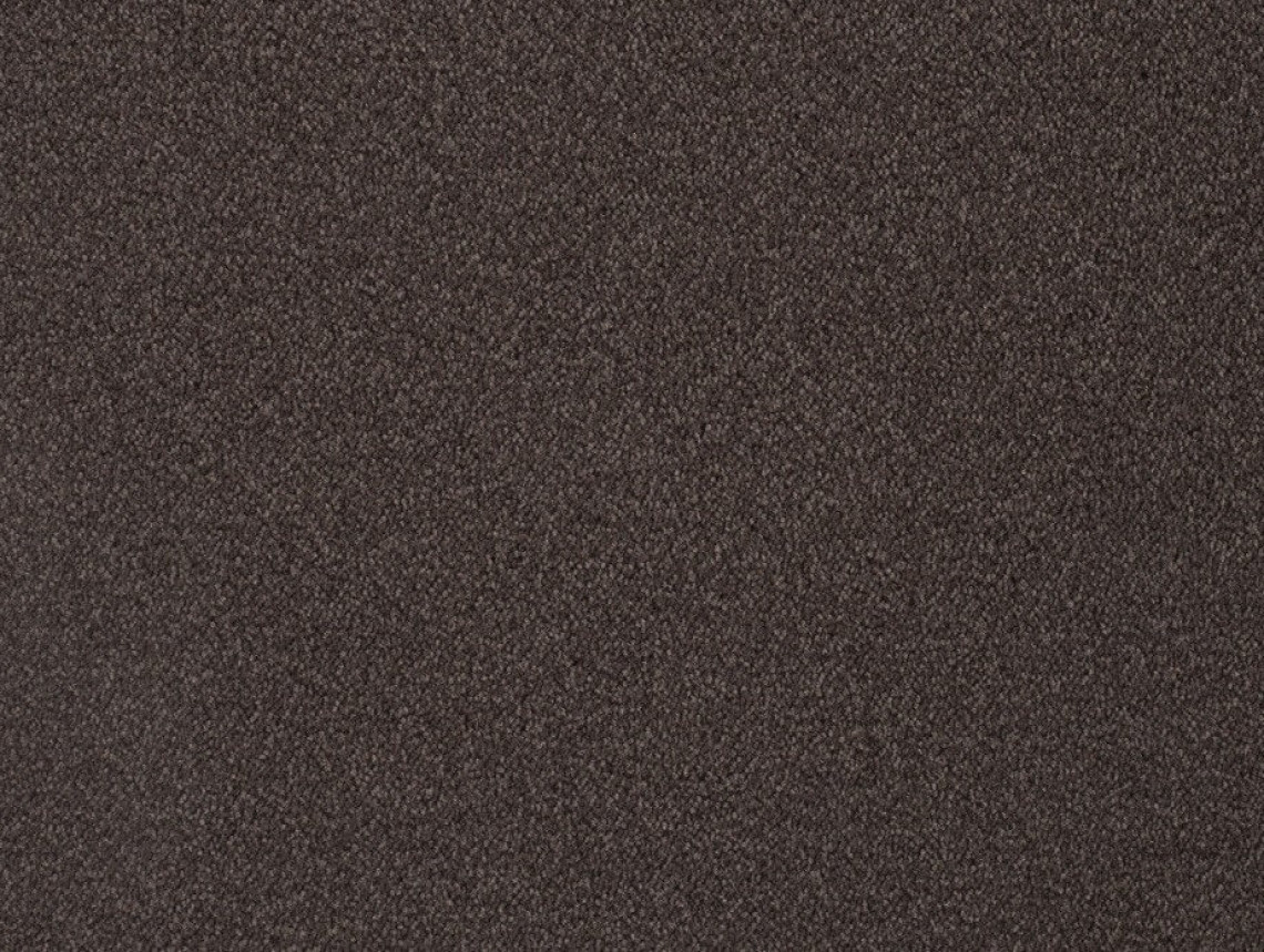 Zen Fusion - 202-Chocolade-2